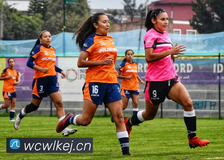 辅助工具 辅助工具